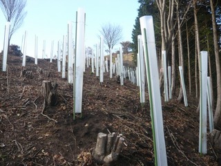 281203-14.jpg