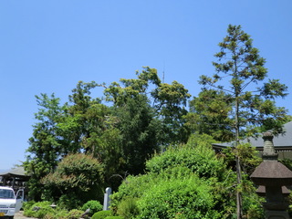 CIMG1545.JPG