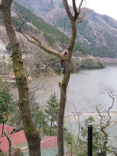 NCM_0388.JPG