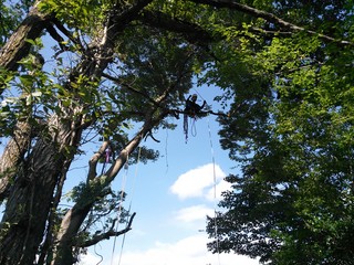 NCM_0412.JPG