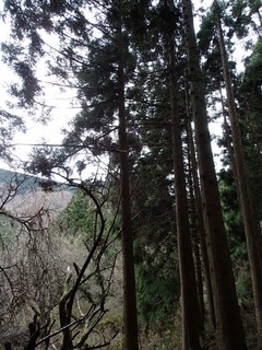 PC150055.jpg
