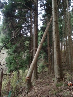 PC150113.jpg