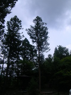 s-R0029761.jpg